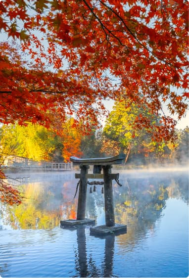 紅葉と池の中にある鳥居