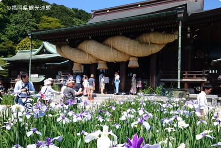 宮地嶽神社