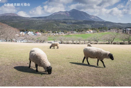 高千穂牧場