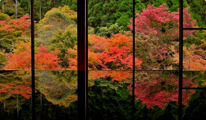 環境芸術の森